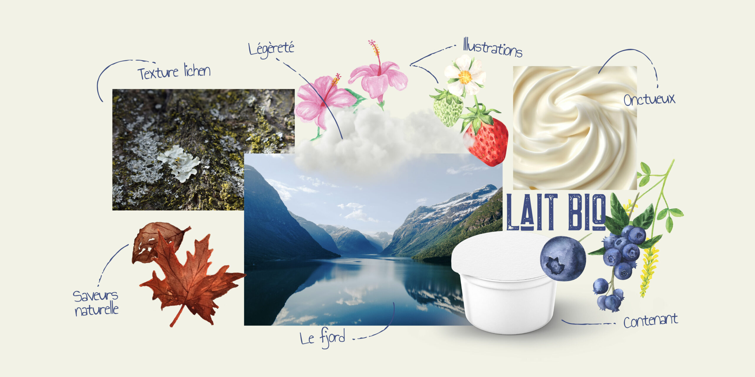moodboard de la fjordée