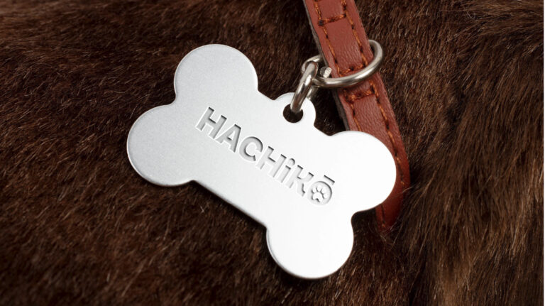 Carrousel image web-11